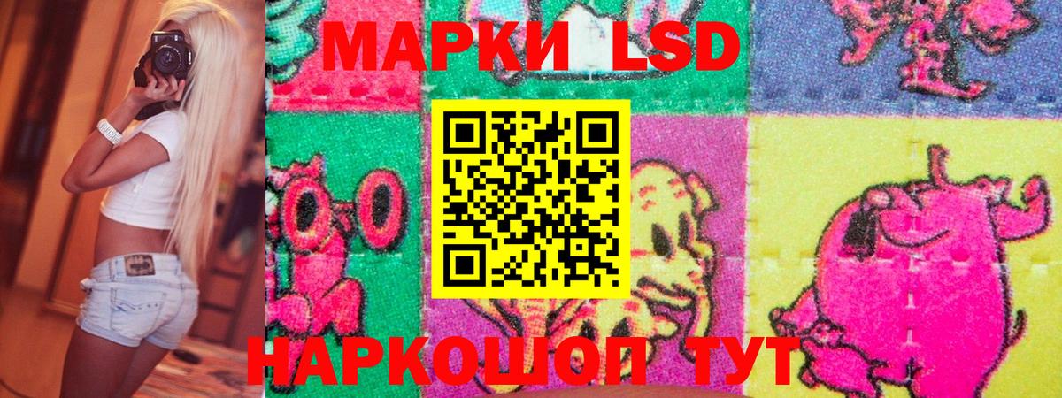Лесозаводск  Наркотические марки 1,8мг  Вход с VPN  Наркотические марки 1,8мг 