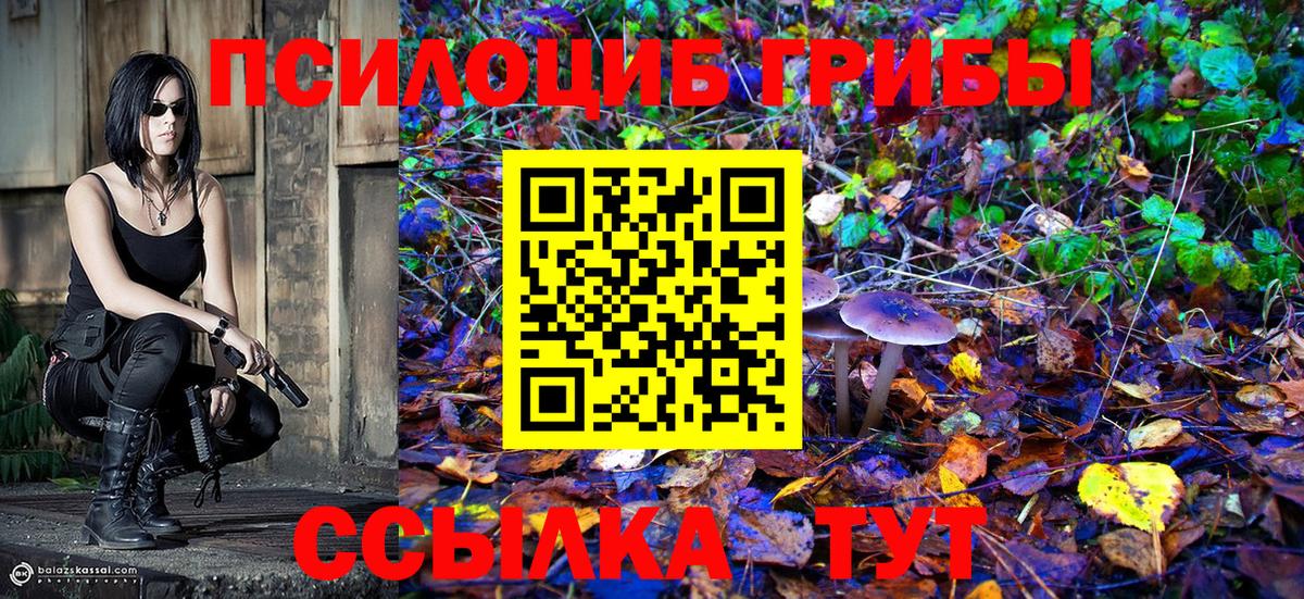 Псилоцибиновые грибы прущие грибы  купить  цена  Лесозаводск  Вход с VPN 