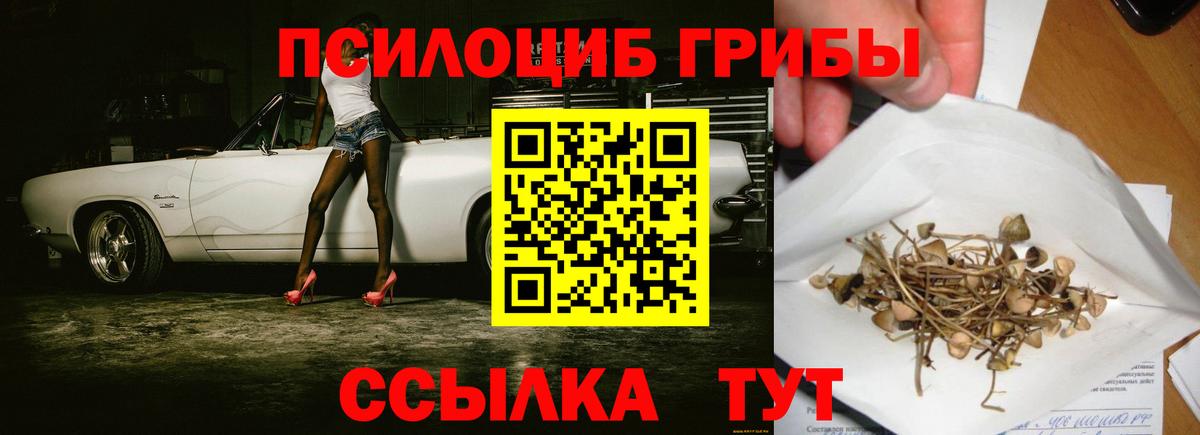 Галлюциногенные грибы ЛСД Лесозаводск